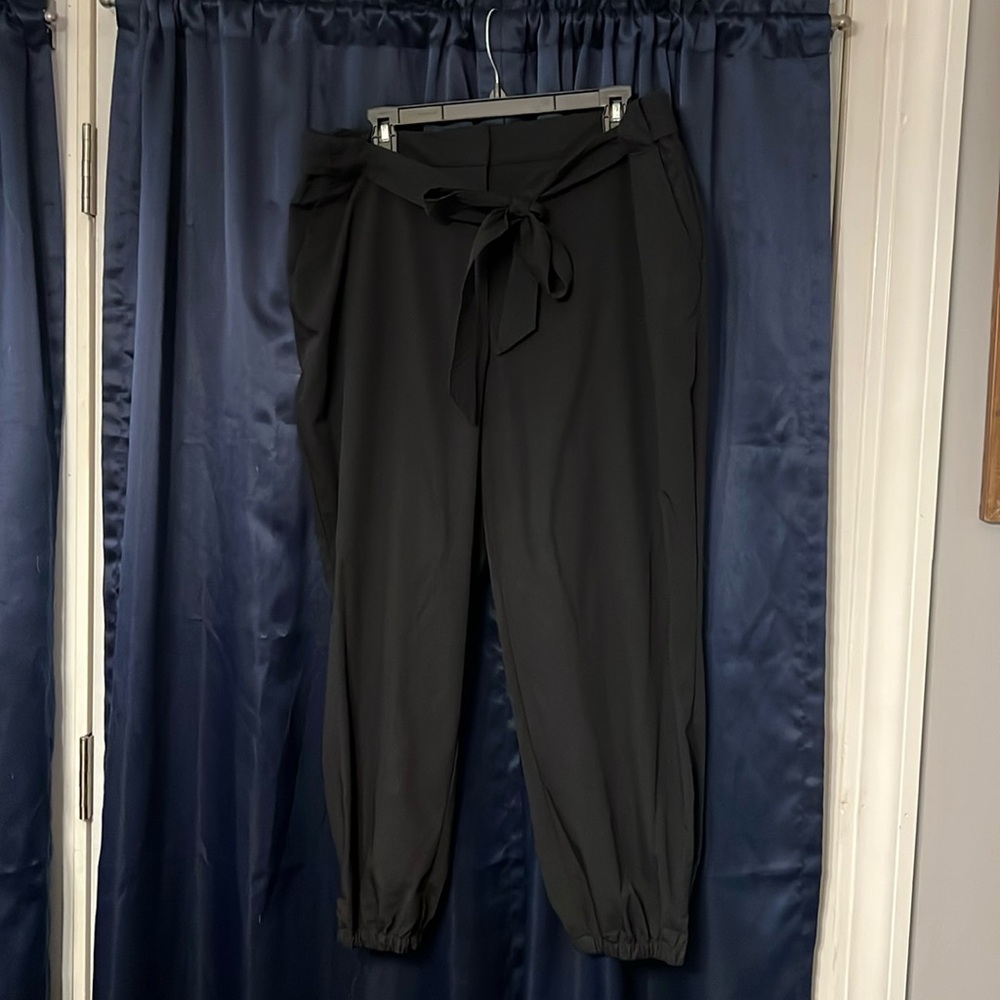 The Limited Jogger styler Dress Pants